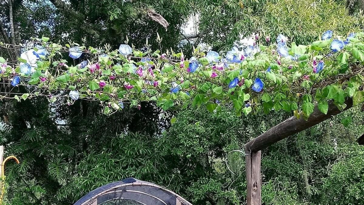 Вилла Tiny House Garden - Aparados Da Serra - Sc Прая-Гранди Экстерьер фото